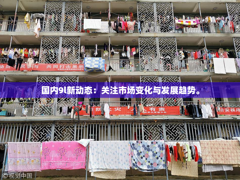 国内9l新动态：关注市场变化与发展趋势。