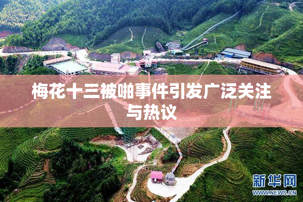 梅花十三被啪事件引发广泛关注与热议