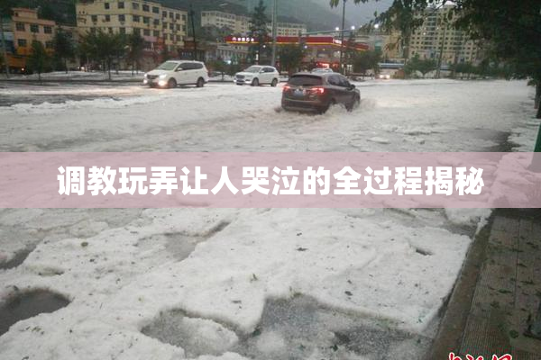 调教玩弄让人哭泣的全过程揭秘