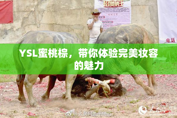 YSL蜜桃棕，带你体验完美妆容的魅力