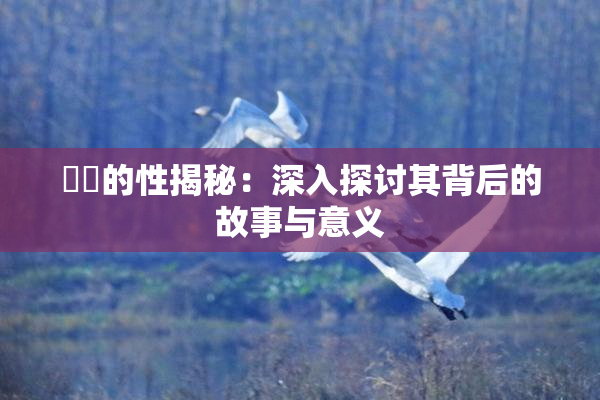 妺妺的性揭秘：深入探讨其背后的故事与意义