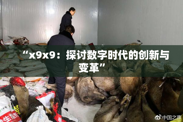 “x9x9：探讨数字时代的创新与变革”