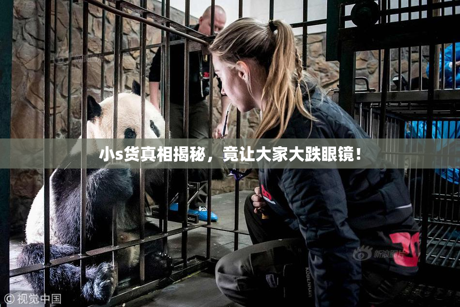 小s货真相揭秘，竟让大家大跌眼镜！