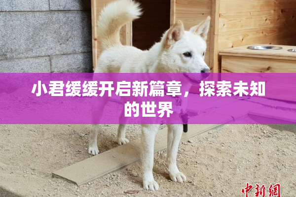 小君缓缓开启新篇章，探索未知的世界
