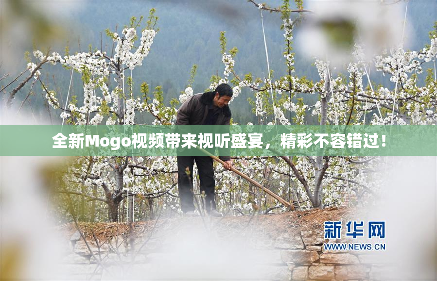 全新Mogo视频带来视听盛宴，精彩不容错过！