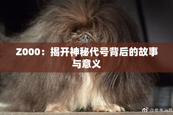 Z000：揭开神秘代号背后的故事与意义