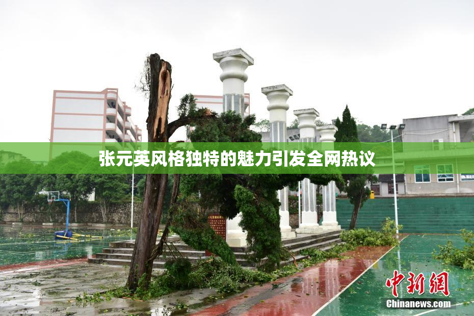 张元英风格独特的魅力引发全网热议