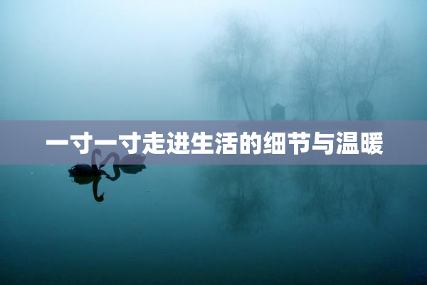一寸一寸走进生活的细节与温暖