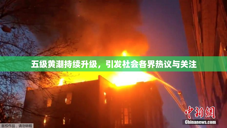五级黄潮持续升级，引发社会各界热议与关注