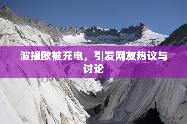 波提欧被充电，引发网友热议与讨论