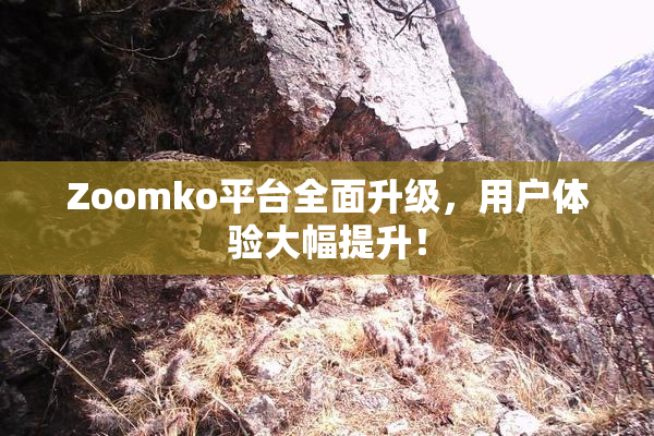 Zoomko平台全面升级，用户体验大幅提升！