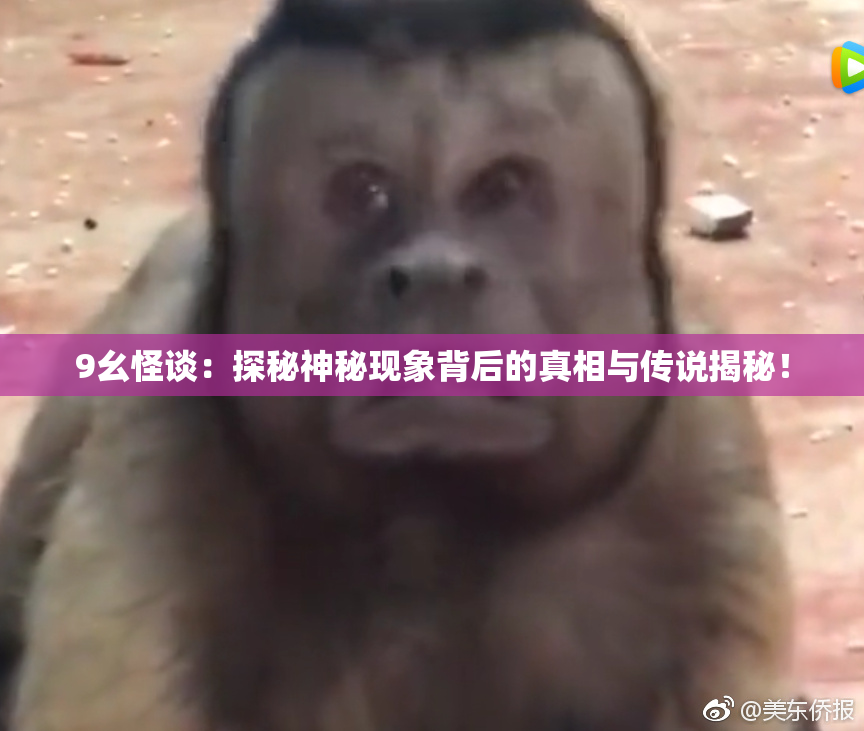 9幺怪谈：探秘神秘现象背后的真相与传说揭秘！