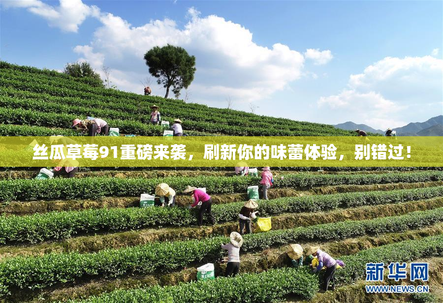 丝瓜草莓91重磅来袭，刷新你的味蕾体验，别错过！