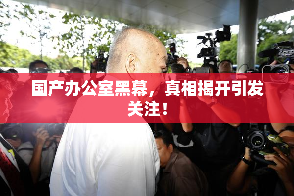 国产办公室黑幕，真相揭开引发关注！