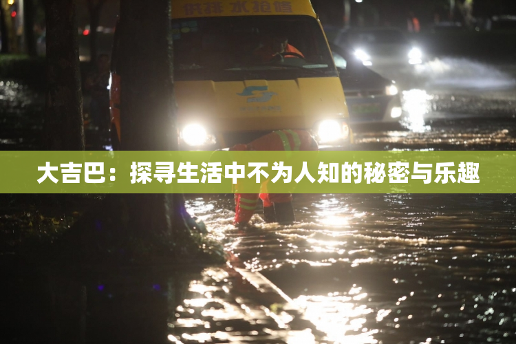 大吉巴：探寻生活中不为人知的秘密与乐趣