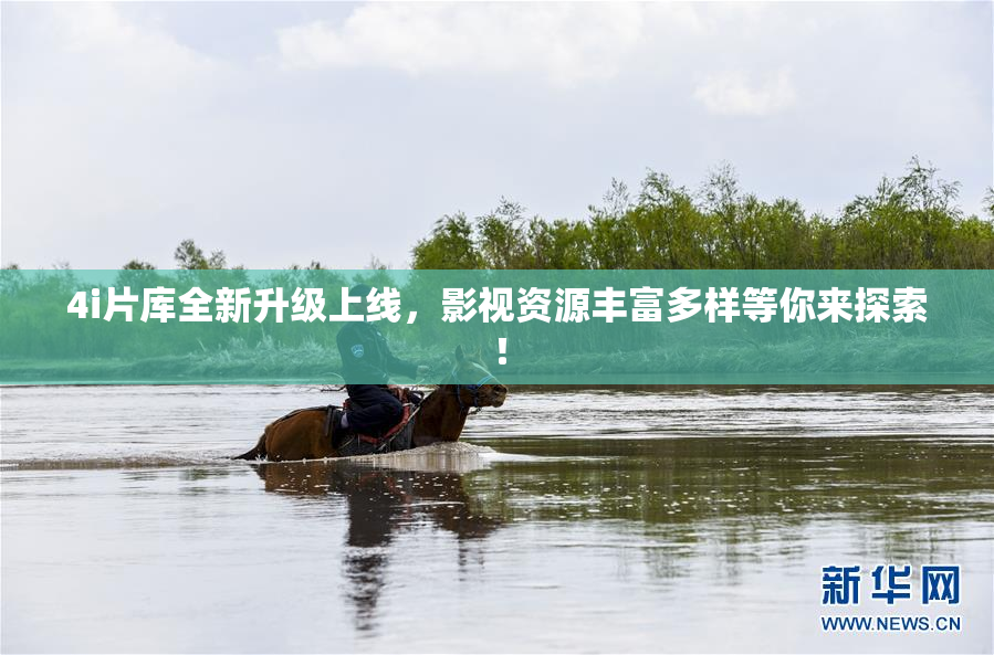 4i片库全新升级上线，影视资源丰富多样等你来探索！