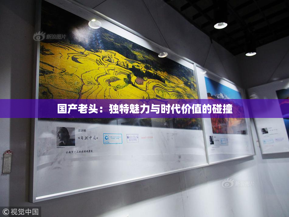 国产老头：独特魅力与时代价值的碰撞