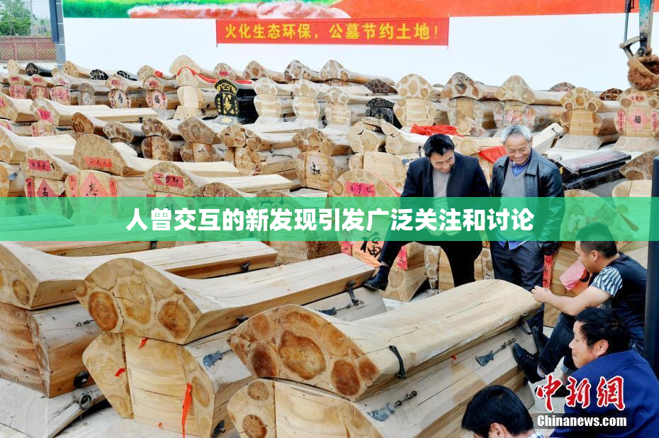 人曾交互的新发现引发广泛关注和讨论