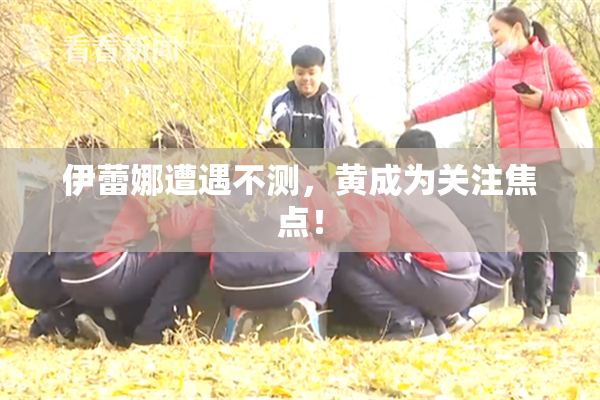 伊蕾娜遭遇不测，黄成为关注焦点！