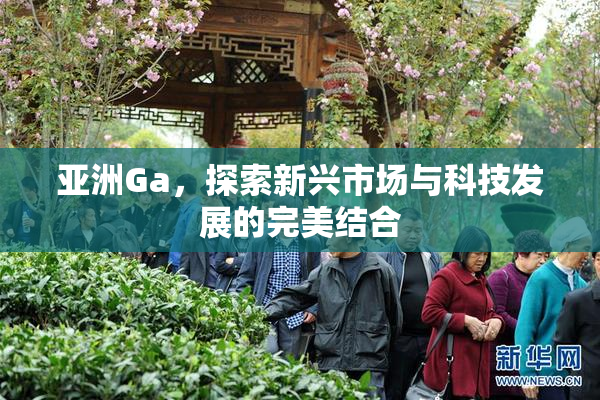 亚洲Ga，探索新兴市场与科技发展的完美结合