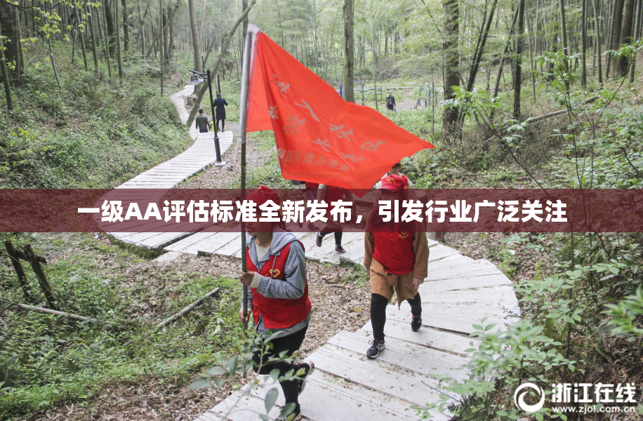 一级AA评估标准全新发布，引发行业广泛关注