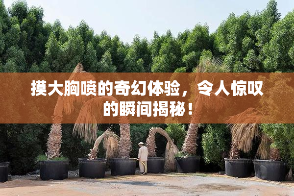 摸大胸喷的奇幻体验，令人惊叹的瞬间揭秘！