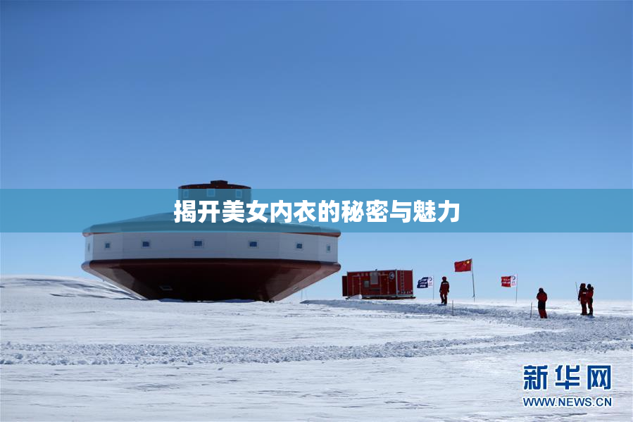 揭开美女内衣的秘密与魅力