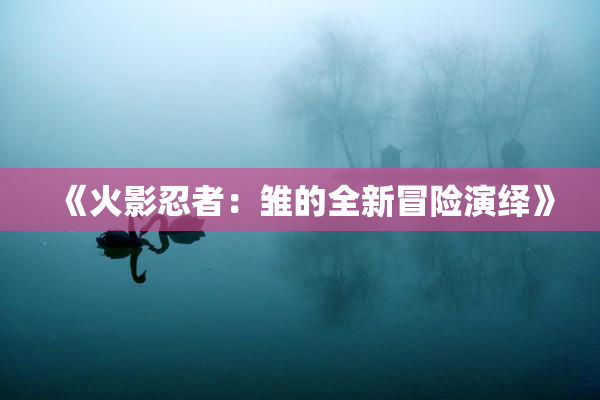 《火影忍者：雏的全新冒险演绎》