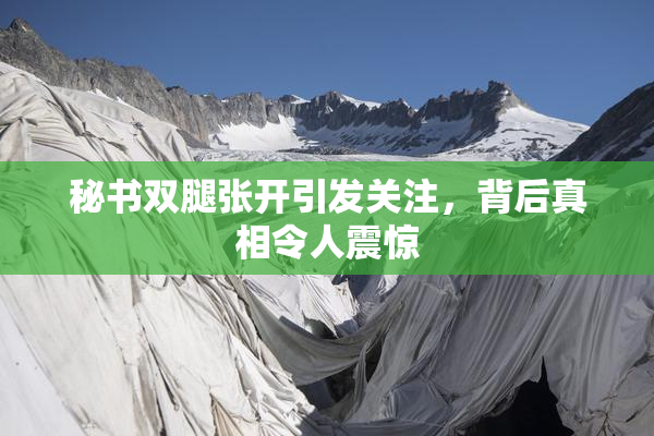 秘书双腿张开引发关注，背后真相令人震惊