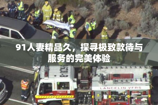 91人妻精品久，探寻极致款待与服务的完美体验
