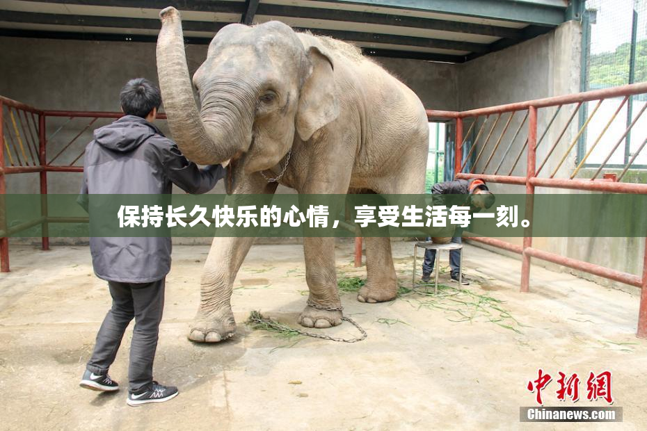 保持长久快乐的心情，享受生活每一刻。
