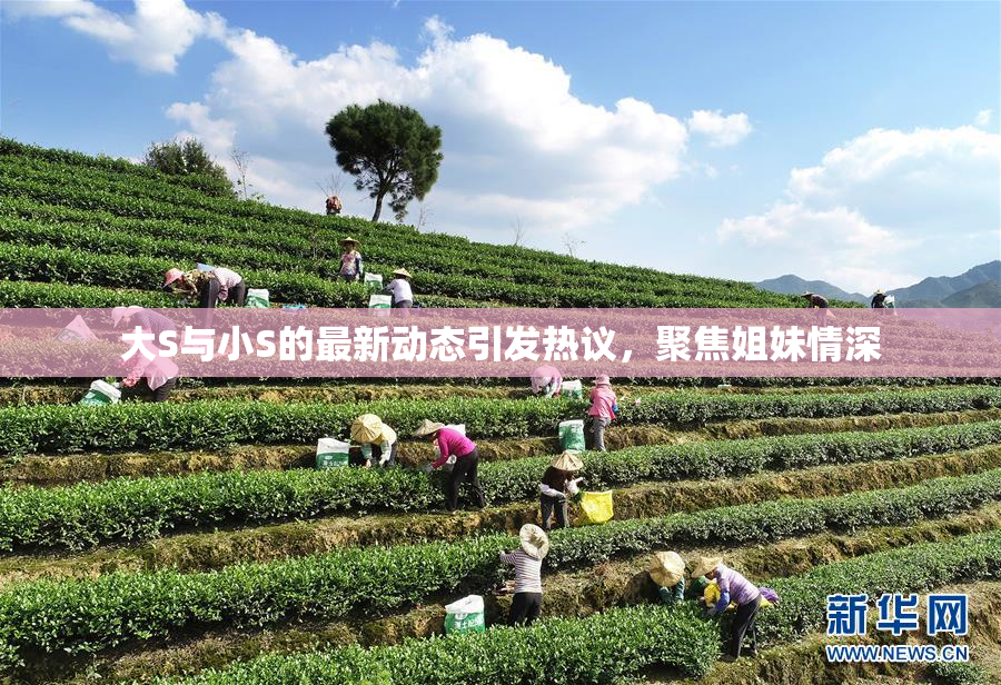 大S与小S的最新动态引发热议，聚焦姐妹情深