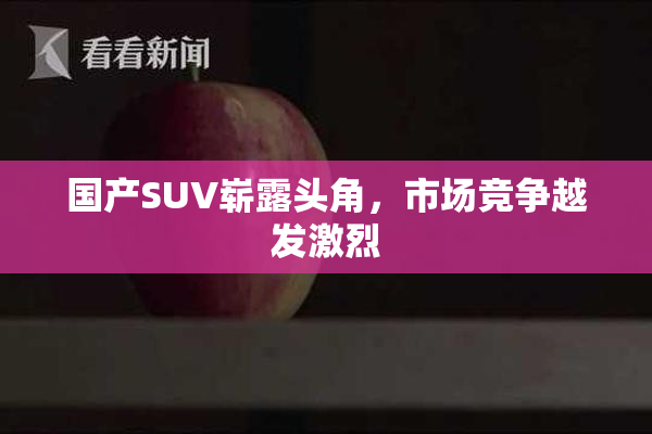 国产SUV崭露头角，市场竞争越发激烈