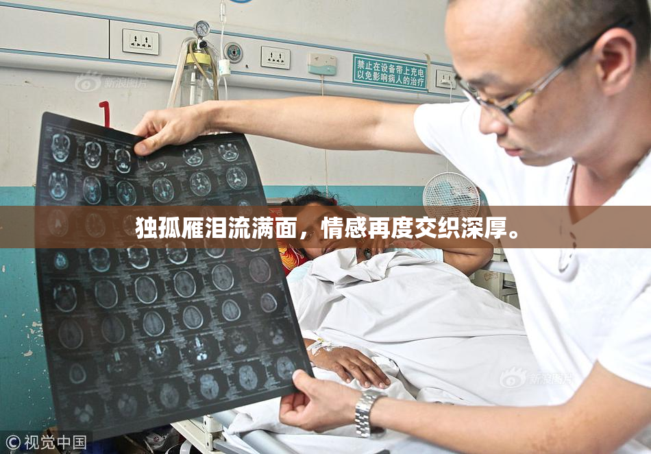 独孤雁泪流满面，情感再度交织深厚。