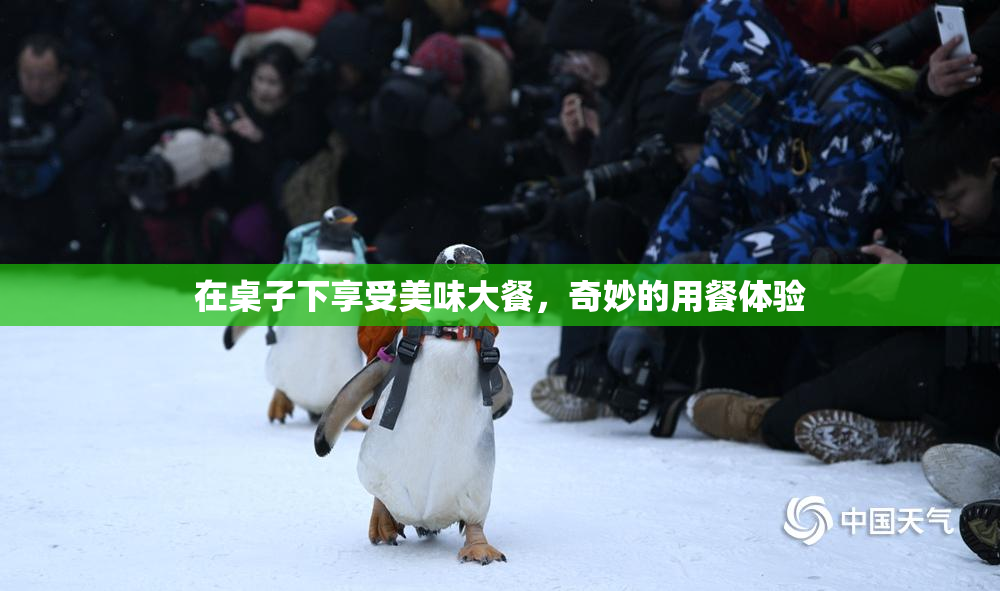 在桌子下享受美味大餐，奇妙的用餐体验