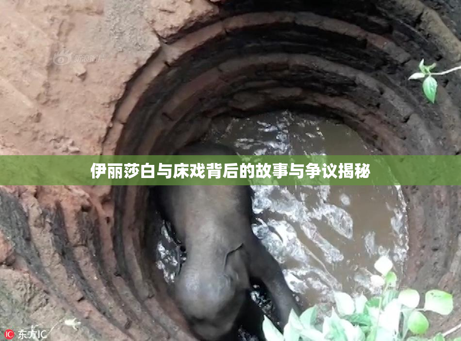 伊丽莎白与床戏背后的故事与争议揭秘