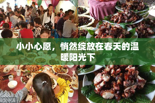 小小心愿，悄然绽放在春天的温暖阳光下