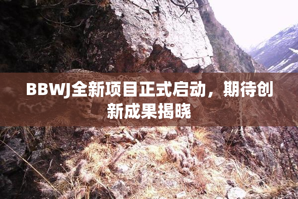 BBWJ全新项目正式启动，期待创新成果揭晓