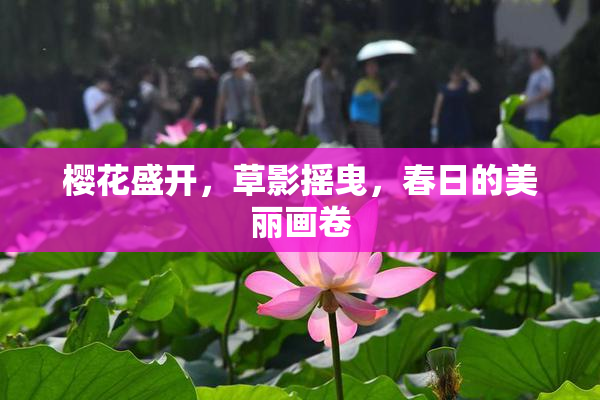 樱花盛开，草影摇曳，春日的美丽画卷
