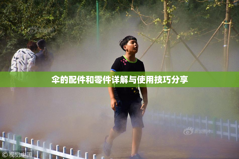 伞的配件和零件详解与使用技巧分享