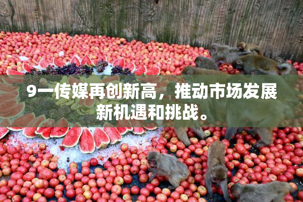 9一传媒再创新高，推动市场发展新机遇和挑战。