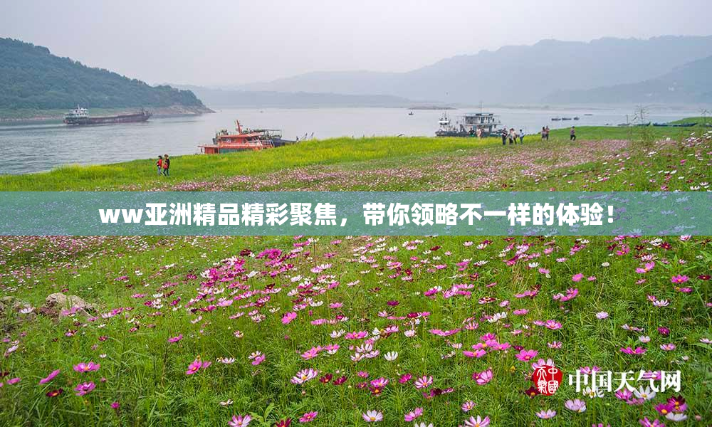 ww亚洲精品精彩聚焦，带你领略不一样的体验！
