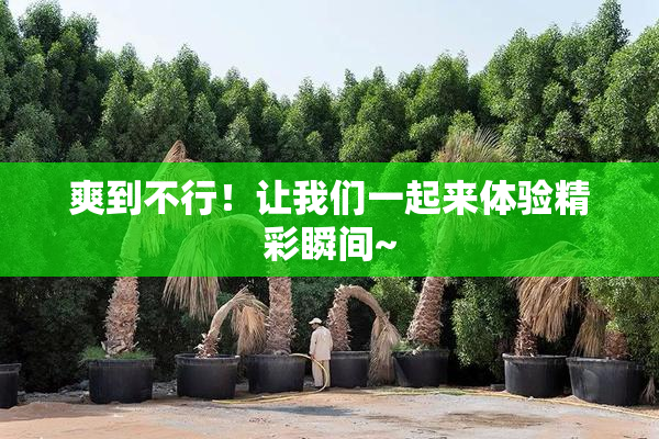 爽到不行！让我们一起来体验精彩瞬间~