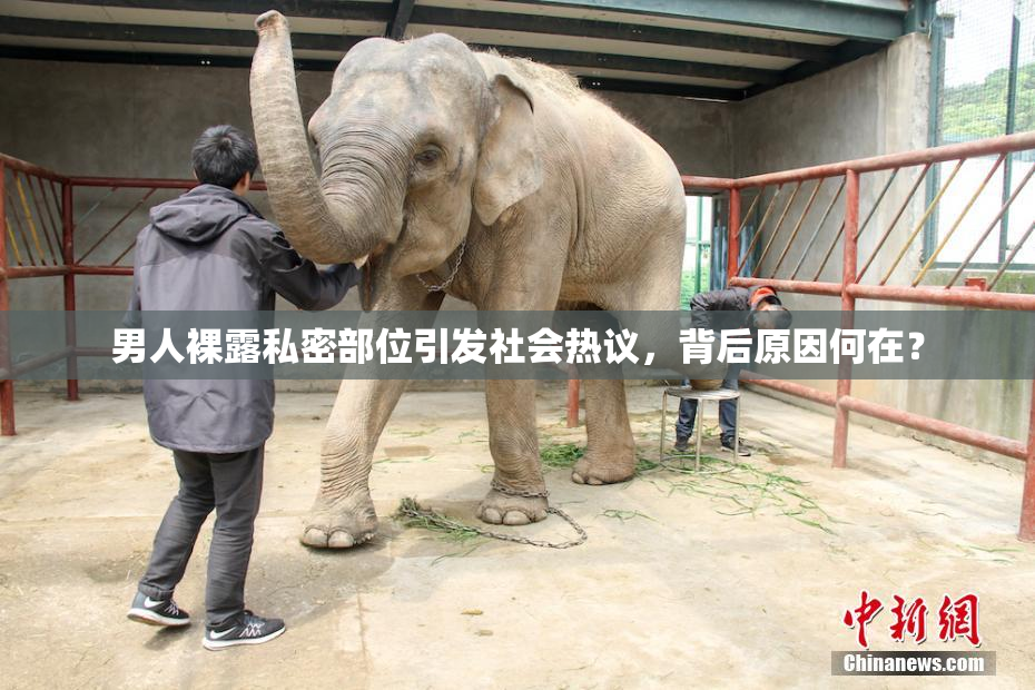 男人裸露私密部位引发社会热议，背后原因何在？