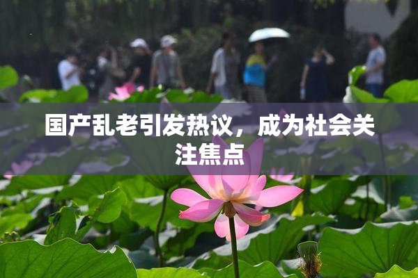 国产乱老引发热议，成为社会关注焦点