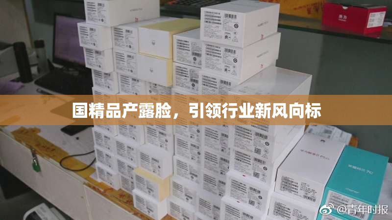 国精品产露脸，引领行业新风向标