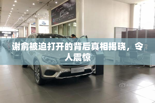 谢俞被迫打开的背后真相揭晓，令人震惊