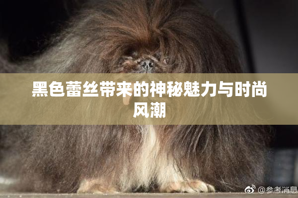 黑色蕾丝带来的神秘魅力与时尚风潮