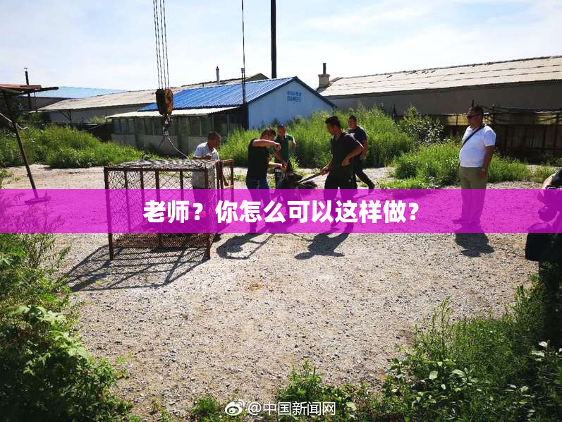 老师？你怎么可以这样做？