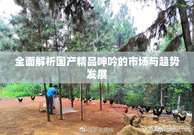 全面解析国产精品呻吟的市场与趋势发展